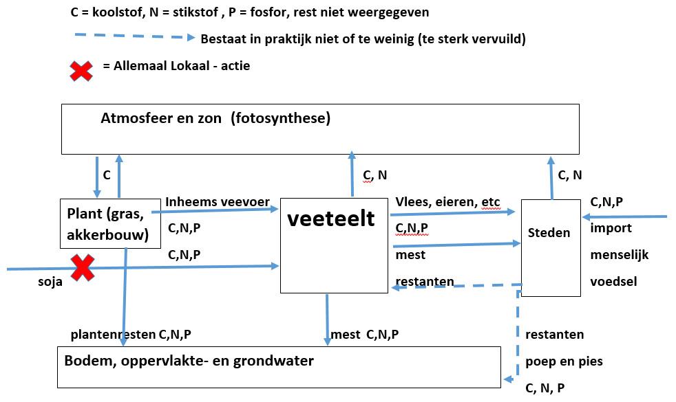 De CNP-kringloop