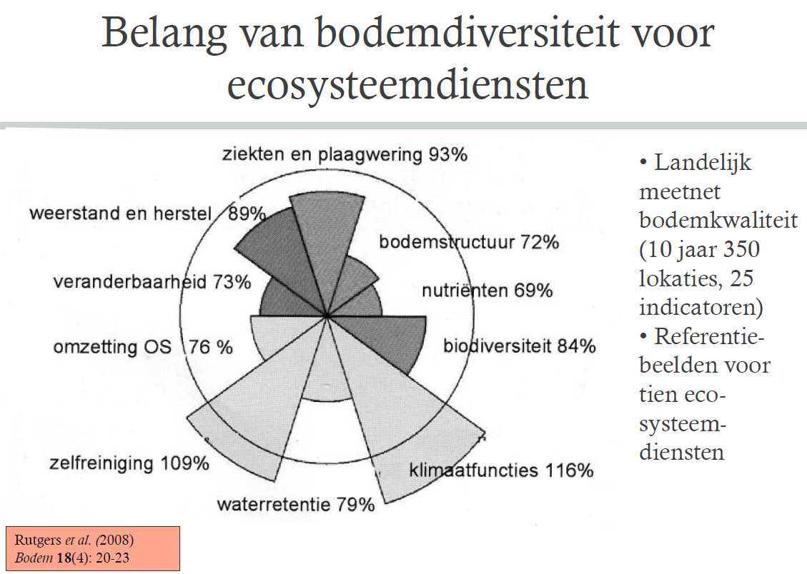 belang bodem voor ecosysteemdiensten