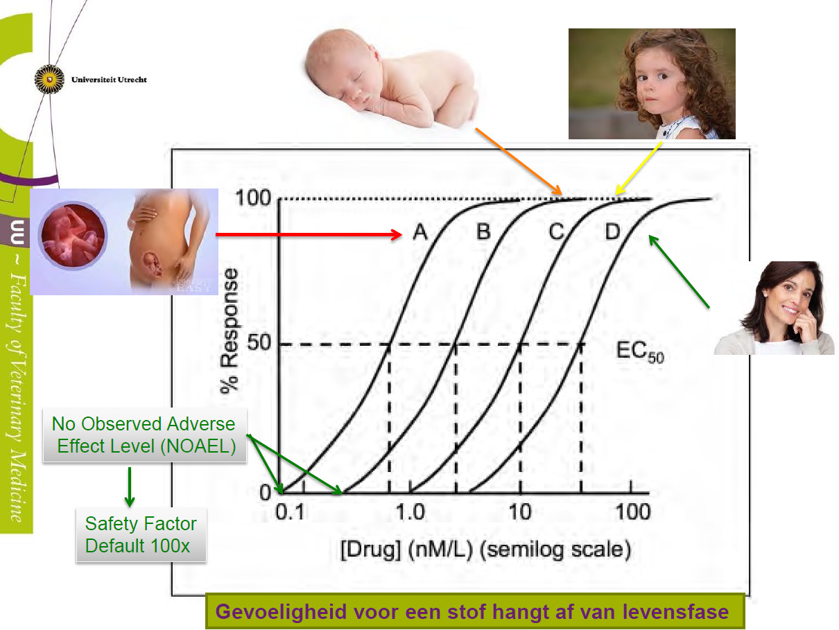 dosis-effectrelaties humane toxicologie