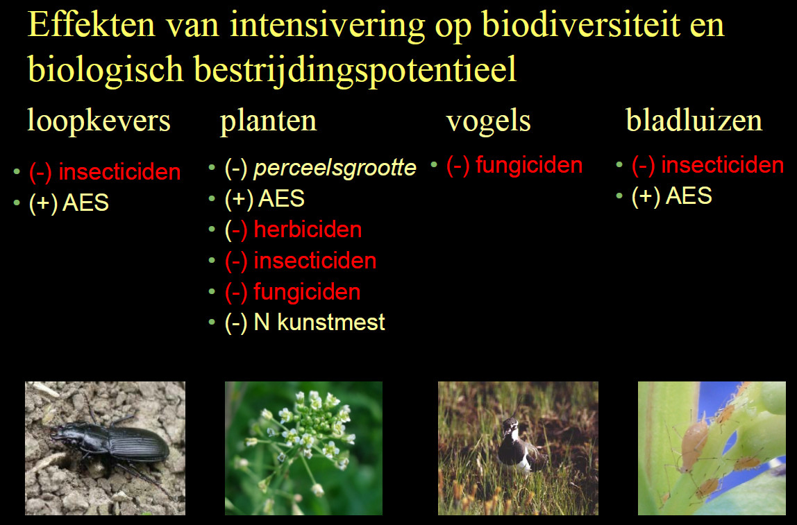 effecten intensivering biodiversiteit