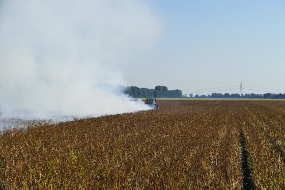 Boeren branden loof van biologische aardappels in de Flevopolder (juli 2016)