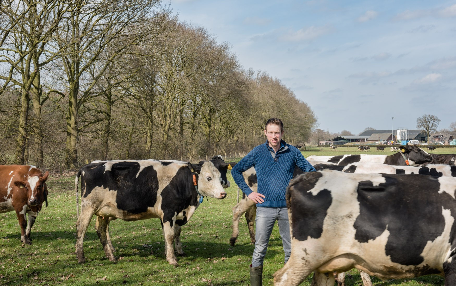 Aldi en Albert Heijn gaan mee in duurzame melk – actie Milieudefensie