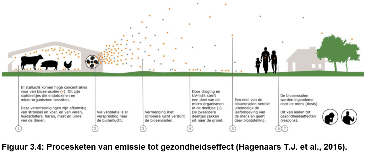 Bio-aerosolen rond mestbewerkers en de studie van Tauw