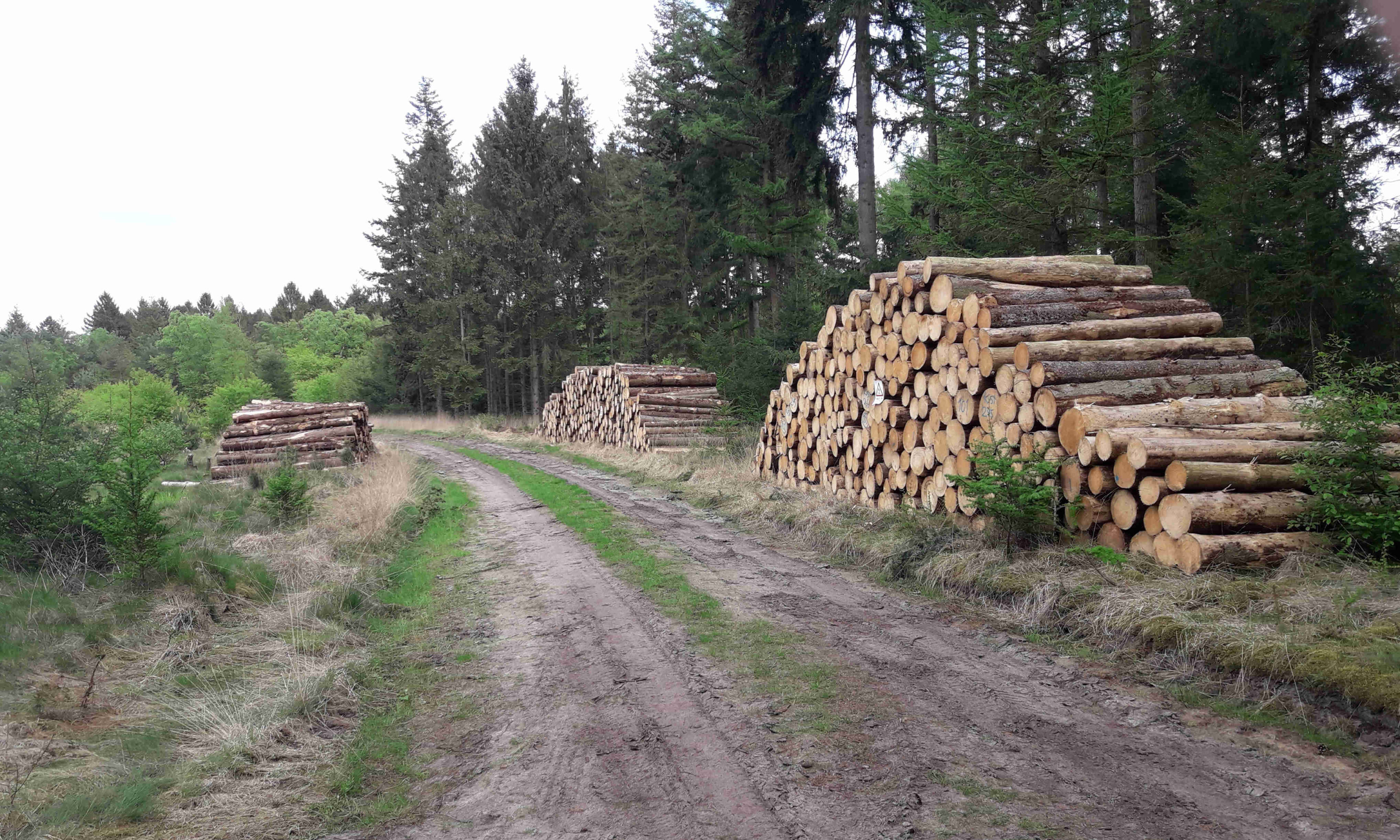 tobben wat betreft mosterd Over houtprijzen en productievolumes van diverse houttoepassingen – Weblog  Bernard Gerard