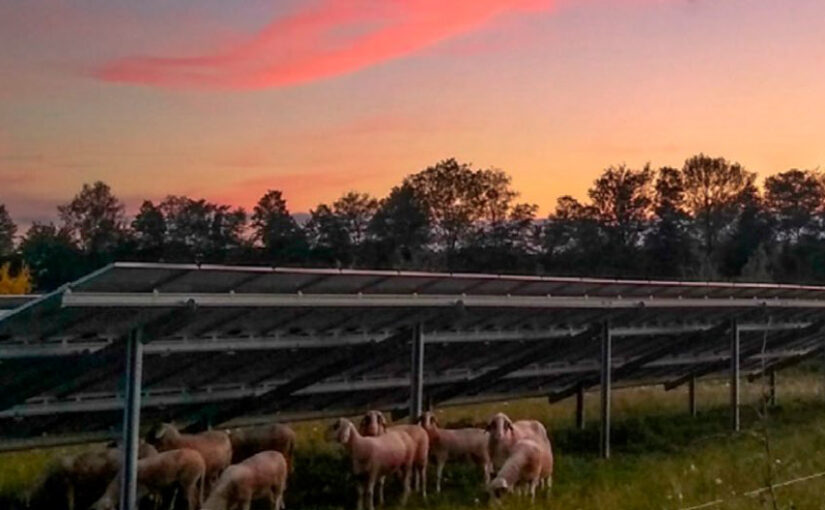 TNO: behalve goedkope hernieuwbare zonnestroom ook duurzaam materiaalgebruik